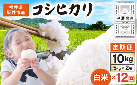【先行予約】【令和8年産・新米】 定期便 ≪12ヶ月連続お届け≫ 坂井市産 コシヒカリ 白米 10kg (5kg×2袋)×12回 計120kg (中瀬農産) 【2026年10月以降順次発送予定】 【米 こめ お米 精米 ブランド米 こしひかり 国産】 [O-20503]