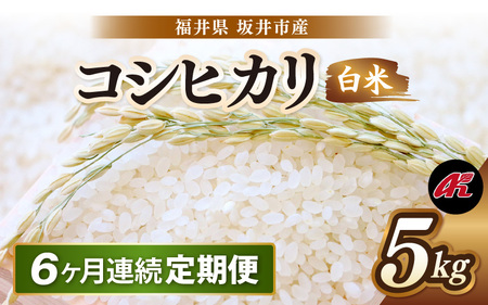 【先行予約】【令和8年産・新米】 定期便 ≪6ヶ月連続お届け≫ 坂井市産 コシヒカリ 白米 5kg×6回 計30kg (アグリ川崎) 【2026年10月以降順次発送予定】 【米 こめ お米 精米 ブランド米 こしひかり 国産】 [F-20505]
