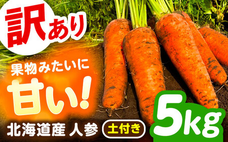 【訳あり】 北海道 にんじん 5kg （土付き）《足寄町》【えとりファーム】[BEBA005]