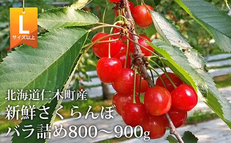 さくらんぼ 800g～900g 佐藤錦 又は 紅秀峰 Lサイズ以上 サクランボ