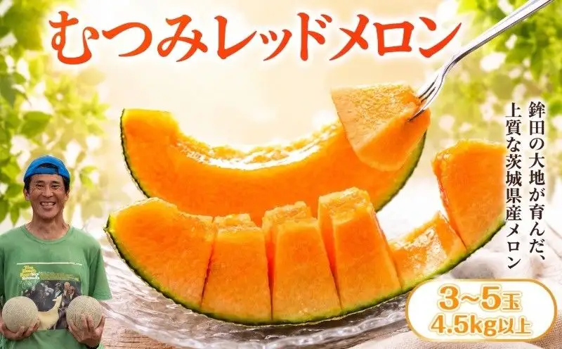 【2027年発送】むつみレッドメロン（方波見農園） 3?5玉 赤肉品種 高級メロン！ ／ むつみレッド 果物 フルーツ ギフト 農家直送 kbn011_X1