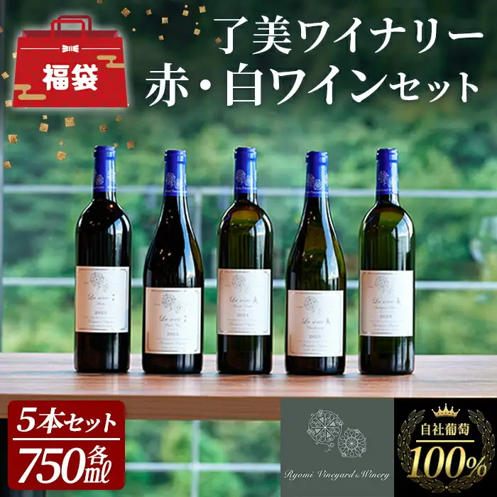 自社葡萄を使用したワインセット 750ml×5本 赤ワイン 白ワイン メルロー ピノノワール シャルドネ ソーヴィニヨンブラン モンドブリエ ミディアムボディ 辛口 ぶどう ブドウ アルコール みらいファームやまと 【了美ワイナリー】ta594