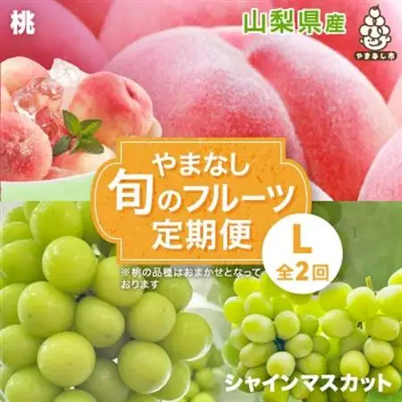 【発送月固定定期便】やまなし旬のフルーツ定期便(桃・シャインマスカット)【L】全2回【配送不可地域：離島】【4077910】