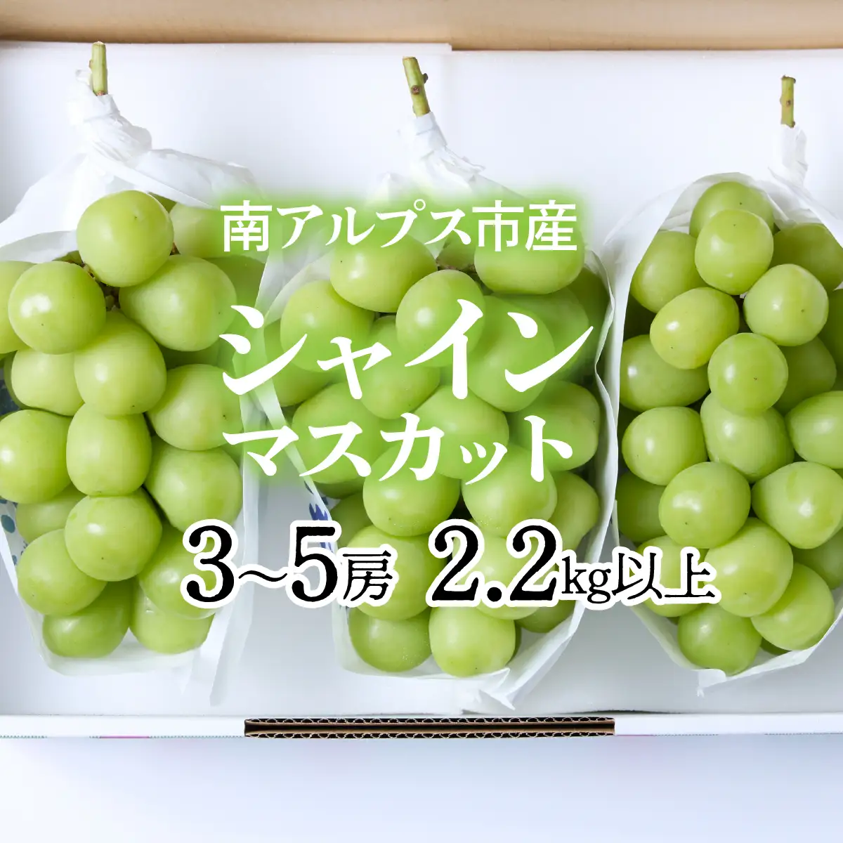 ★フジテレビ系列「ノンストップ」で取り上げられました！★＜2026年発送先行予約＞南アルプス市産シャインマスカット2.2kg以上（3～5房）　クール便発送 ALPAG011