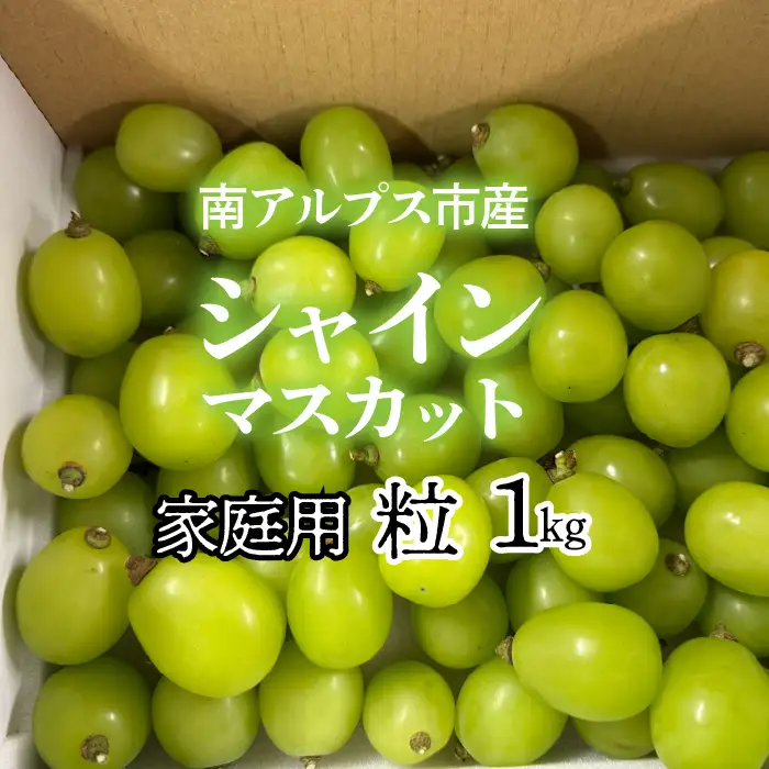 ＜2026年発送先行予約＞南アルプス市産シャインマスカット家庭用　粒1kg　クール便発送 ALPAG012