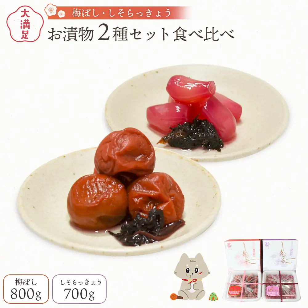 大満足　お漬物２種セット　梅ぼし　しそらっきょう　食べ比べ【02104】