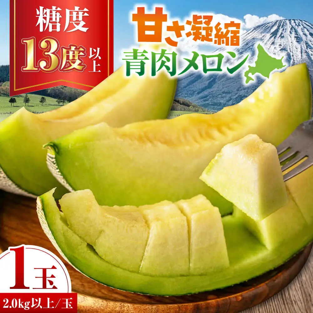 青肉メロン 大玉1玉 [AJAH029] メロン