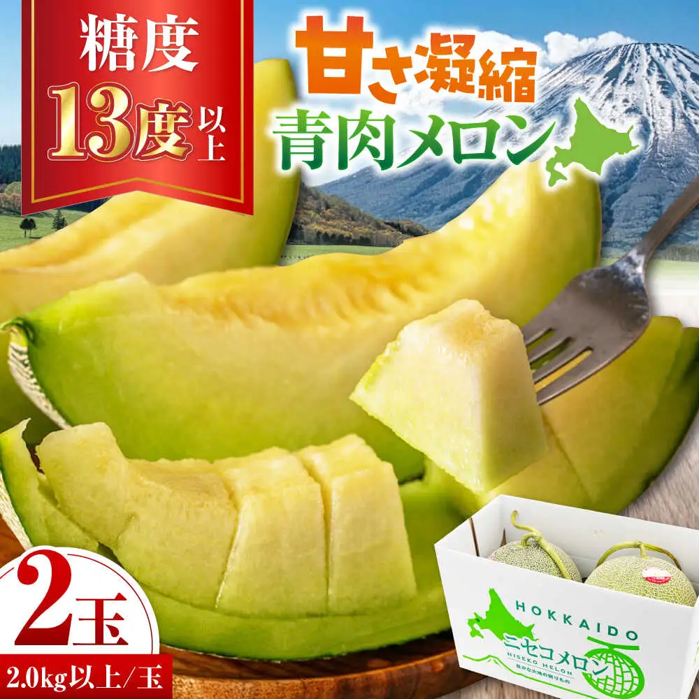 青肉メロン 大玉2玉 [AJAH030] メロン