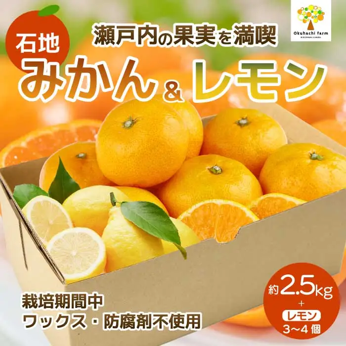 石地みかん 2.5kg レモン3～4個《2026年12月発送予定》栽培期間中 防腐剤 ワックス 不使用 おくはち農園 旬 柑橘 かんきつ フルーツ 果物 瀬戸内 166023
