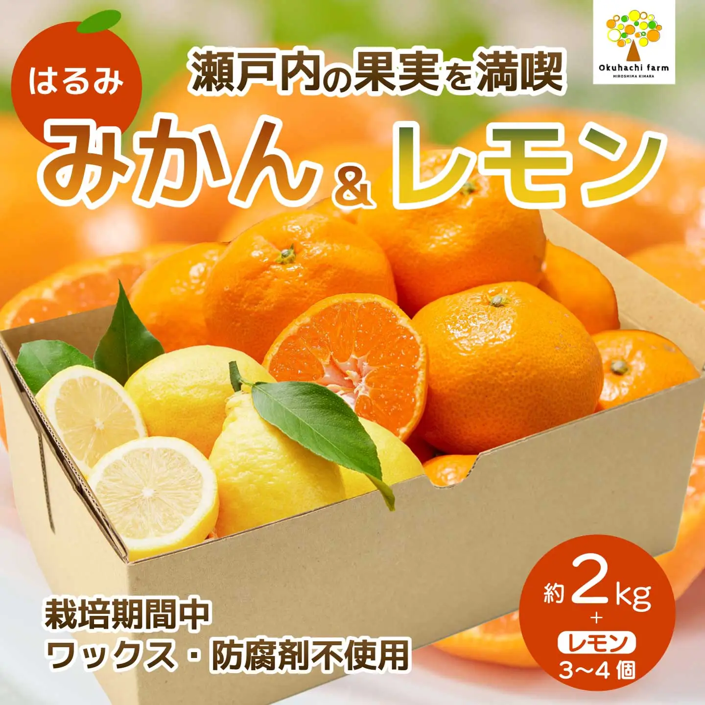 はるみ 2kg レモン3～4個《2027年2～3月発送予定》栽培期間中 防腐剤 ワックス 不使用 おくはち農園 旬 柑橘 かんきつ フルーツ 果物 瀬戸内 166024