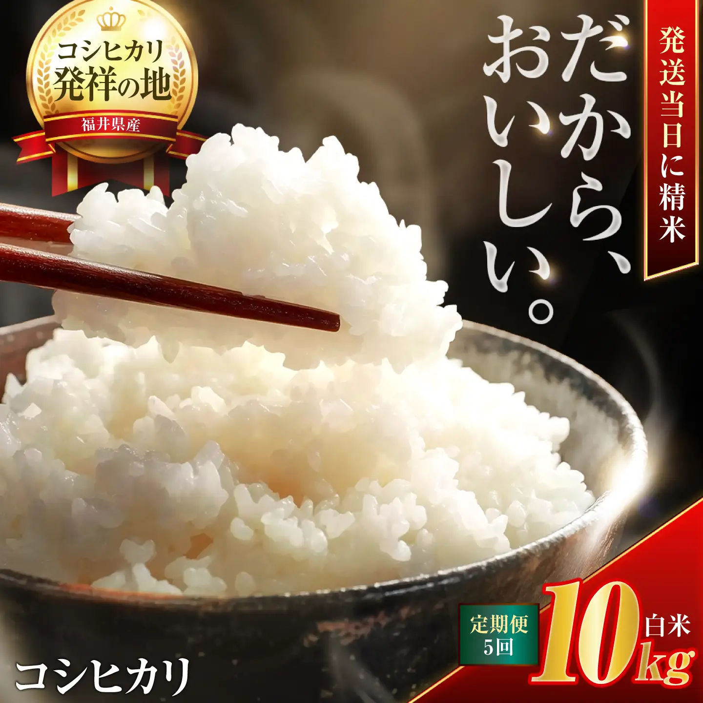 【5回定期便】お米 小浜市産コシヒカリ お米 10kg 小浜市 梅田東米穀店[BFEK017]