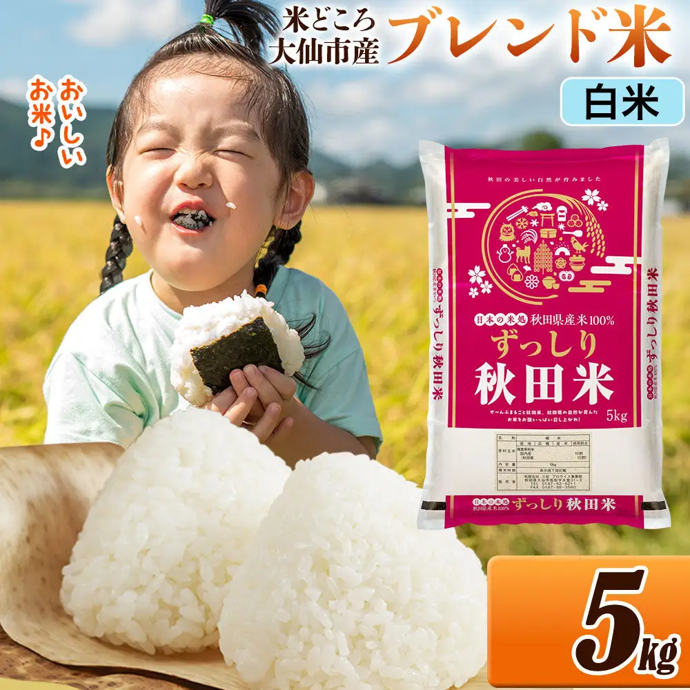 米 米どころ 秋田県大仙市産 ブレンド米 令和7年産【白米】5kg（5kg×1袋）