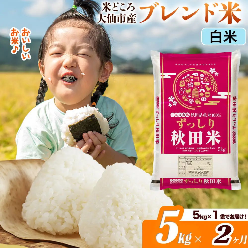 米《定期便2ヶ月》米どころ 秋田県大仙市産 ブレンド米【白米】5kg（5kg×1袋）