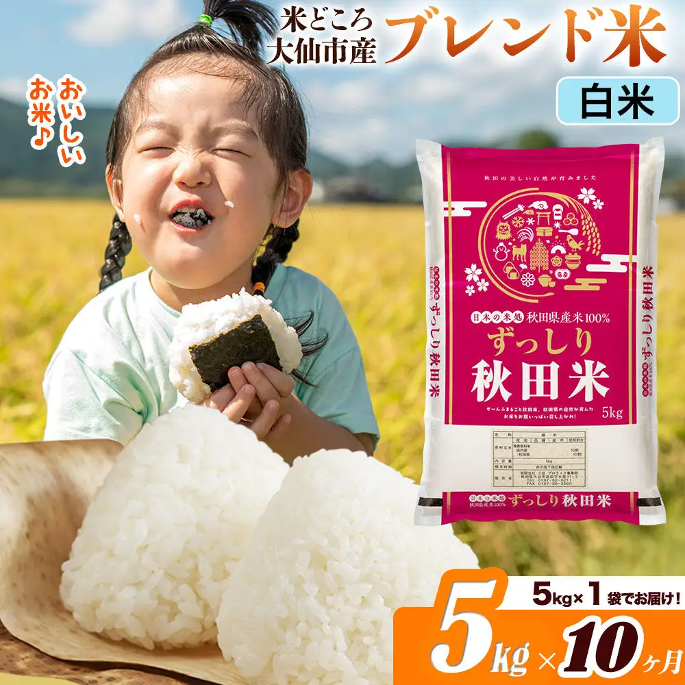 米《定期便10ヶ月》米どころ 秋田県大仙市産 ブレンド米【白米】5kg（5kg×1袋）
