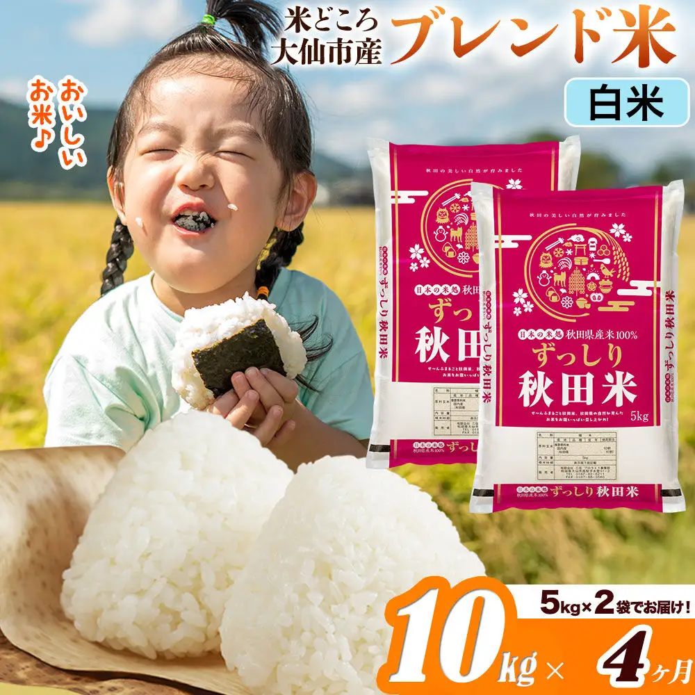 米《定期便4ヶ月》米どころ 秋田県大仙市産 ブレンド米【白米】10kg（5kg×2袋）