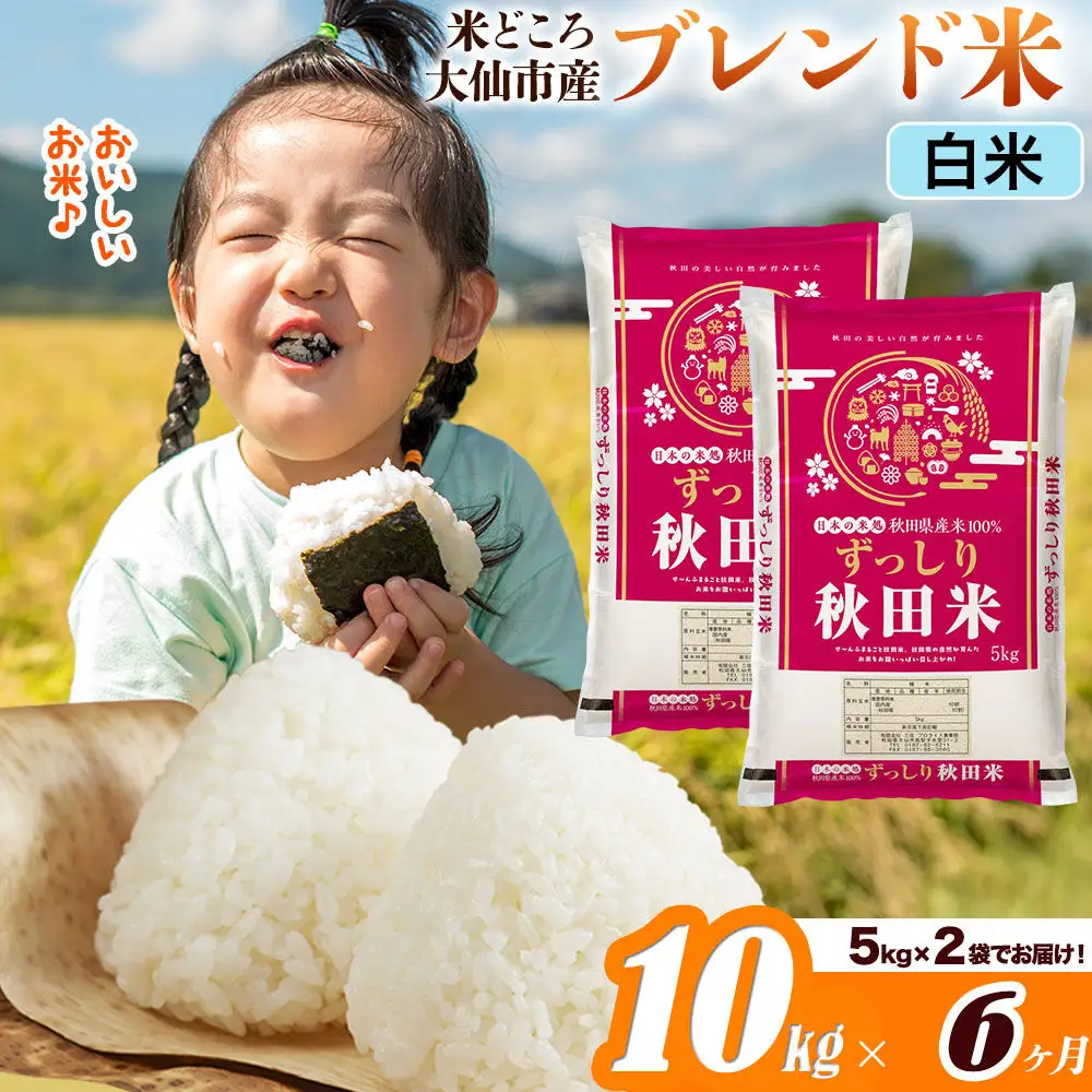 米《定期便6ヶ月》米どころ 秋田県大仙市産 ブレンド米【白米】10kg（5kg×2袋）