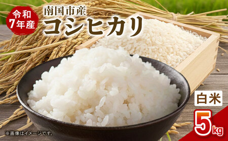 【使用しない】令和7年度 南国市産 コシヒカリ 白米 5㎏ | 数量限定 米 コメ お米 ご飯 おにぎり こめ 弁当 高知県 南国市 AH007