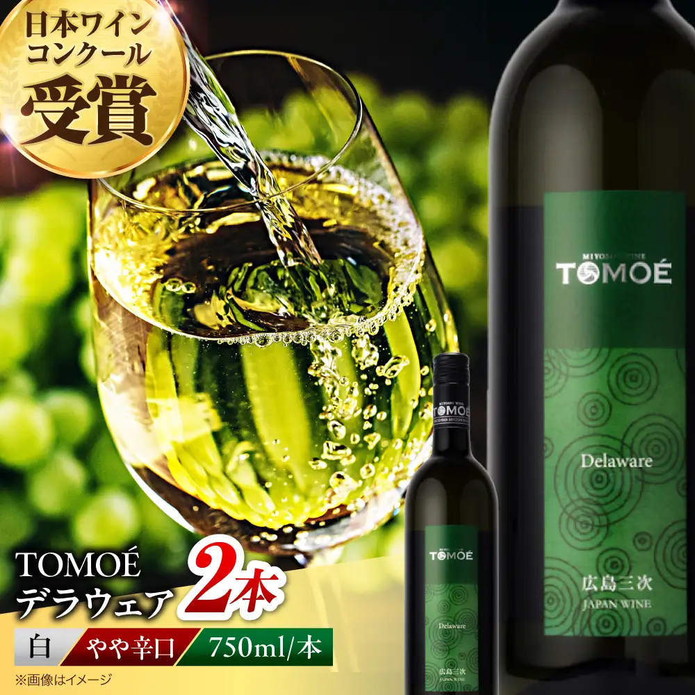 ワイン TOMOEデラウェア 白 やや辛口 750ml×2本 受賞 [APAZ089] 白ワイン