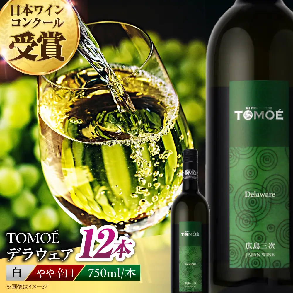 白ワイン TOMOE デラウェア 白 やや辛口 750ml×12本 受賞 [APAZ092] 白ワイン