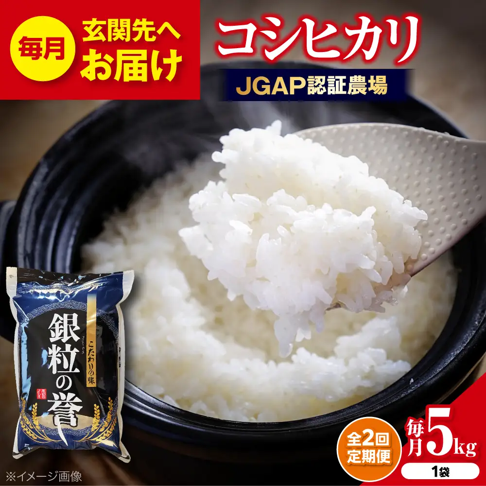 【全2回定期便】こしひかり 5kg 【令和7年産米】 [APDC003] コシヒカリ