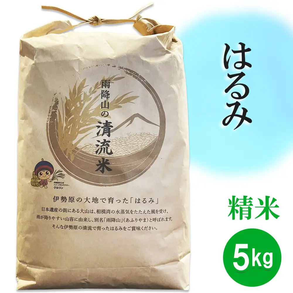 【精米】はるみ 5kg 令和7年産 伊勢原米 [1035]