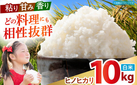 ヒノヒカリ 白米 10kg [HDK001] 精米 米 白米