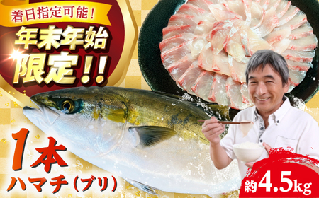 【五島列島直送】 養殖はまち 一本もの（約4.5kg）【有福水産】[RBV008]