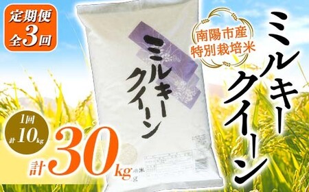【金賞受賞農家】 《定期便3回》 令和7年産 特別栽培米 ミルキークイーン 計10kg(5kg×2袋)×3か月 『あおきライスファーム』 山形南陽産 米 白米 精米 ご飯 山形県 南陽市 [2410]