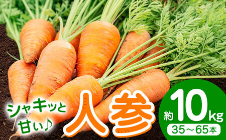 【先行予約】人参 約10kg (35-65本) 日本フルーツ株式会社《4月上旬-7月上旬頃出荷》熊本県 菊池市 にんじん ニンジン 野菜 熊本県産