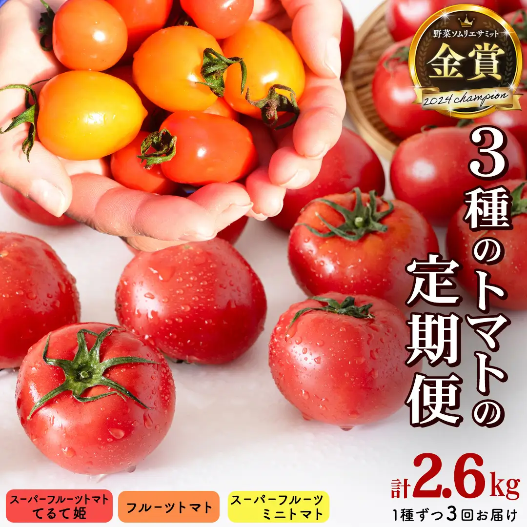 《 2027年 収穫分 》全3回 定期便 フルーツトマト 3種 食べ比べ (毎月1品種) 3ヶ月 KEK 国産 先行予約 糖度9度以上 てるて姫 スーパーフルーツトマト フルーツトマト ブランドトマト ミニトマト 野菜 ギフト 贈答 [BC091sa]