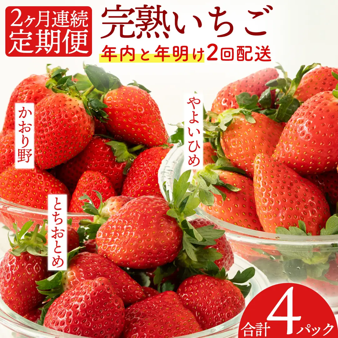 【12月&1月】 全2回 定期便 採れたて完熟いちご 260g×2パック×2回 2ヶ月 かおり野 とちおとめ やよいひめ 国産 イチゴ 苺 年内 年末 年始 [BC092sa]