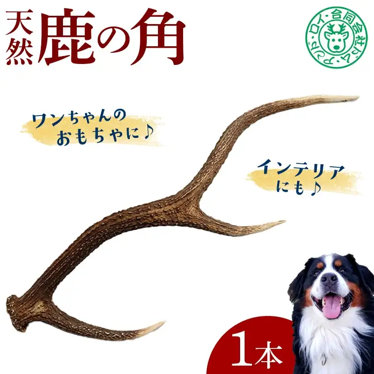 シカの角 1本
