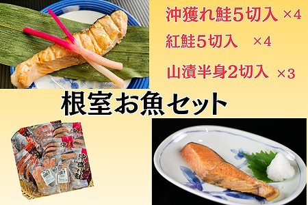 根室お魚セット C-66020