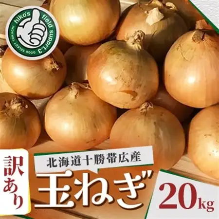 【訳あり】北海道 十勝 帯広産 玉ねぎ 20kg【配送不可地域：離島】【1677195】