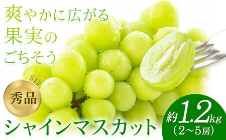 【先行予約】シャインマスカット 秀品 約1.2kg(2-5房) 日本フルーツ