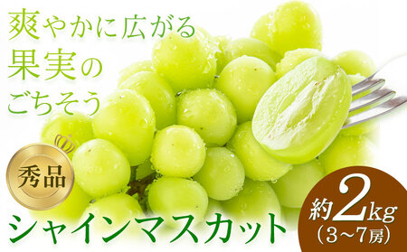 【先行予約】シャインマスカット 秀品 約2kg(3-7房) 