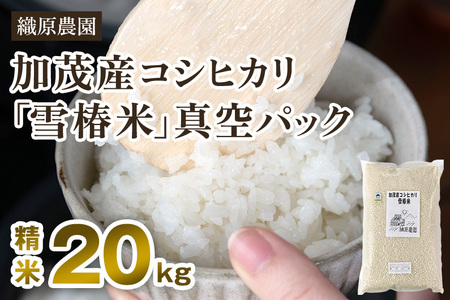 【令和7年産】新潟産コシヒカリ「雪椿米」特別栽培米 精米20kg（5kg×4袋）