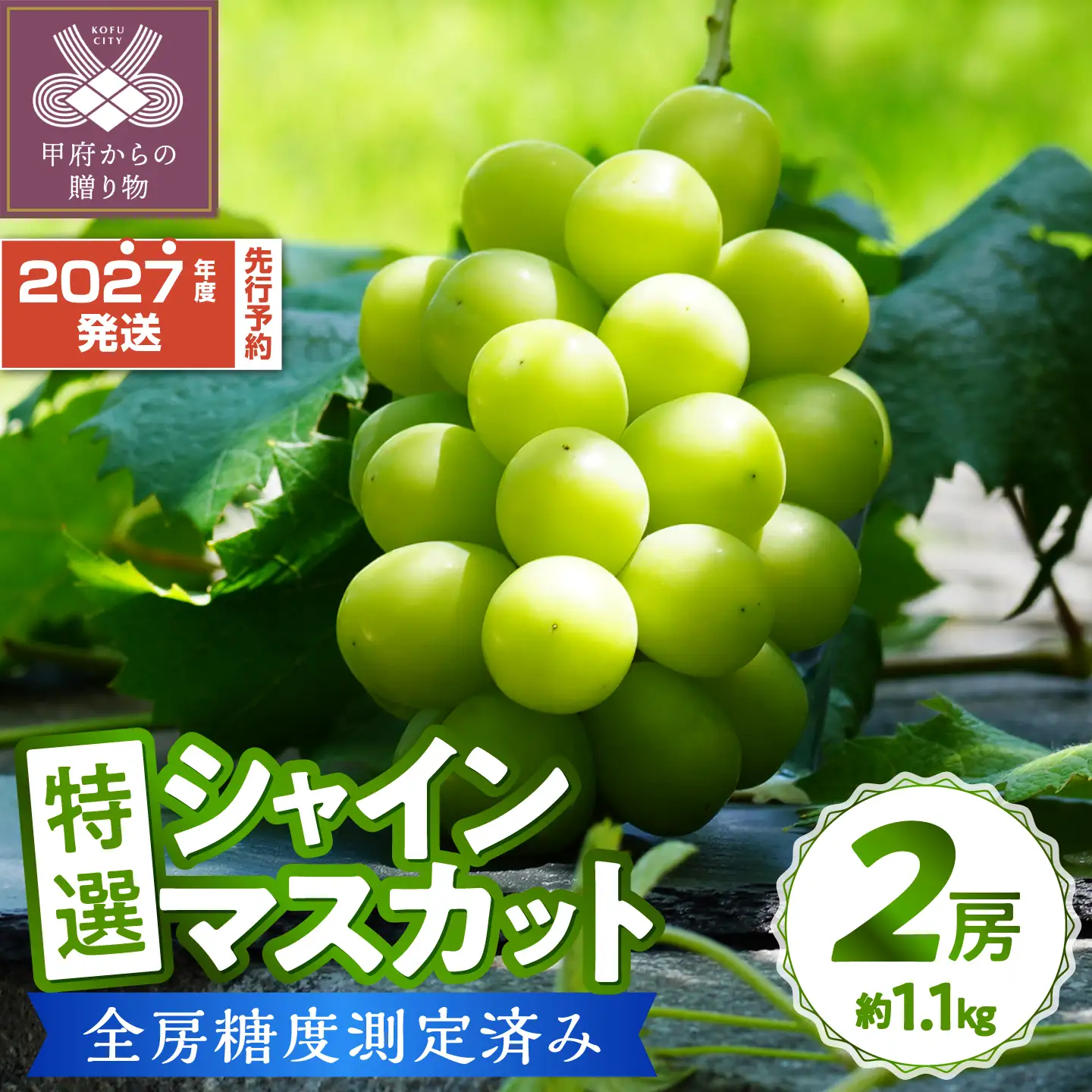 〈2027年度配送分〉【全房糖度測定済み】 山梨県産 特選シャインマスカット 2房（約1.1kg） シャイン フルーツ