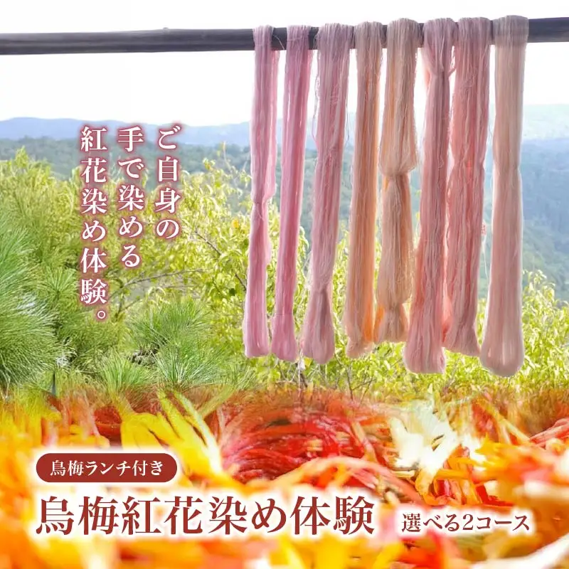 烏梅紅花染め体験 タペストリーコース 84-004