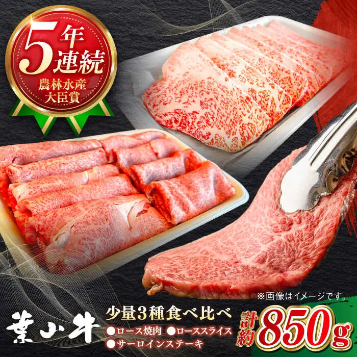 葉山牛 少量3種食べ比べセット(ロース・ローススライス・サーロインステーキ)[ASBD019]