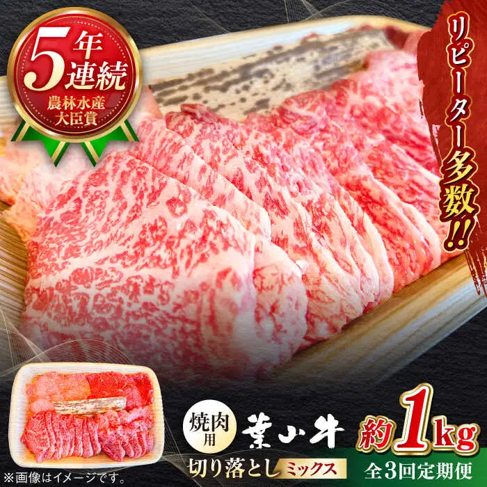 【全3回定期便】葉山牛1kg　焼肉用ミックス 牛肉（ロース、モモ、カルビ等 4種類 ) 食べ比べ[ASBD034]