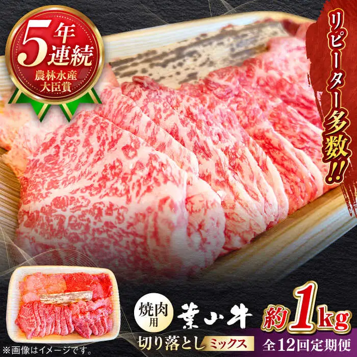 【全12回定期便】葉山牛1kg　焼肉用ミックス 牛肉（ロース、モモ、カルビ等 4種類 ) 食べ比べ[ASBD036]