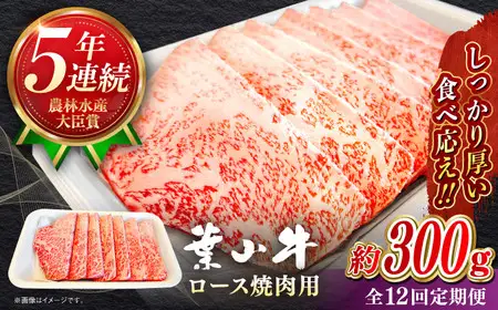 【全12回定期便】【葉山牛】300g　ロース焼肉用 ／ 牛肉 黒毛和牛 神奈川県 特産品【葉山牛ステーキレストラン 角車】[ASBD053]