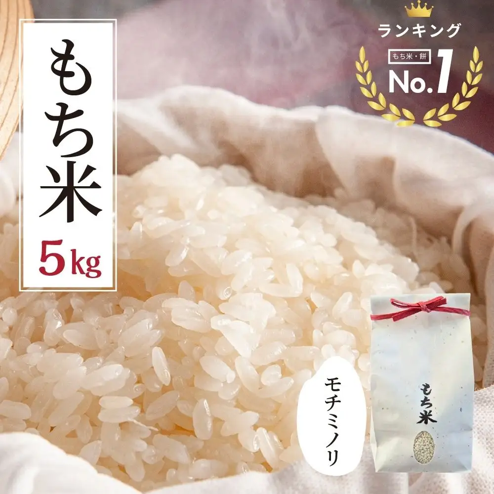 ≪令和8年度産≫先行予約 もち米 モチミノリ 5kg｜もち米