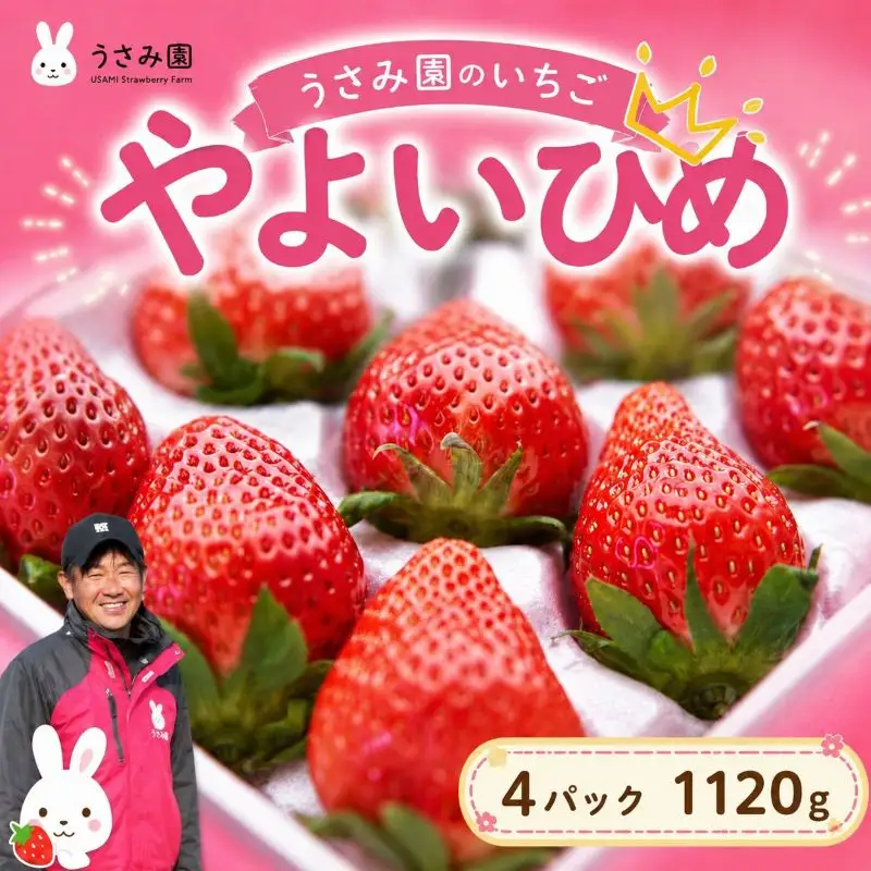 【2月~3月発送】畑のいちご やよいひめ 4パック いちご