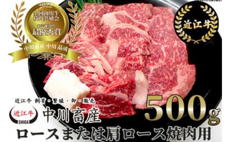 全国肉用牛枝肉共励会最優秀賞受賞中川牧場の近江牛ロースまたは肩ロース焼肉用500g（株）高島屋洛西店 滋賀県 東近江市 C-E10 [高島屋選定品] 焼肉 和牛 牛肉
