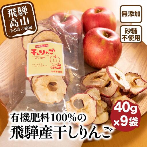 【先行予約 2026年9月中旬～発送】飛騨産干しりんご 40g×9袋 ドライフルーツ | 無糖 ドライフルーツ MA007