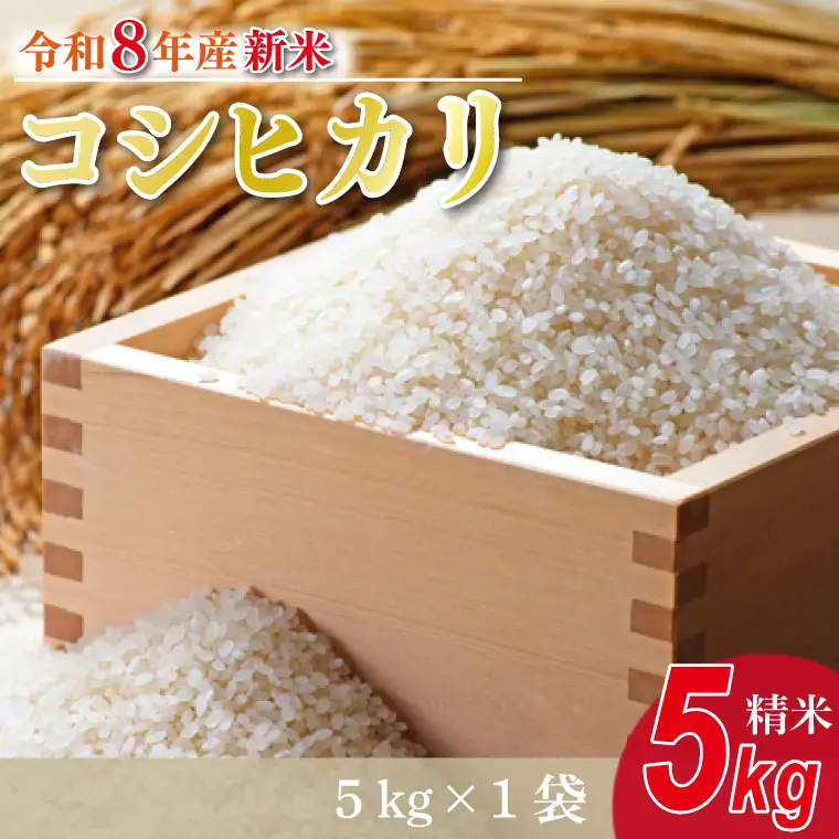 【数量限定】【9月下旬より順次発送】R8年産 コシヒカリ 5kg｜米 お米 白米 精米 R7年産 令和7年産 こしひかり コシヒカリ 茨城県 茨城県産 行方市(HA-24)