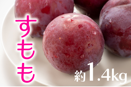 AB136.九州・福岡フルーツ王国より直送.すもも.約1.4kg／2027年6月配送