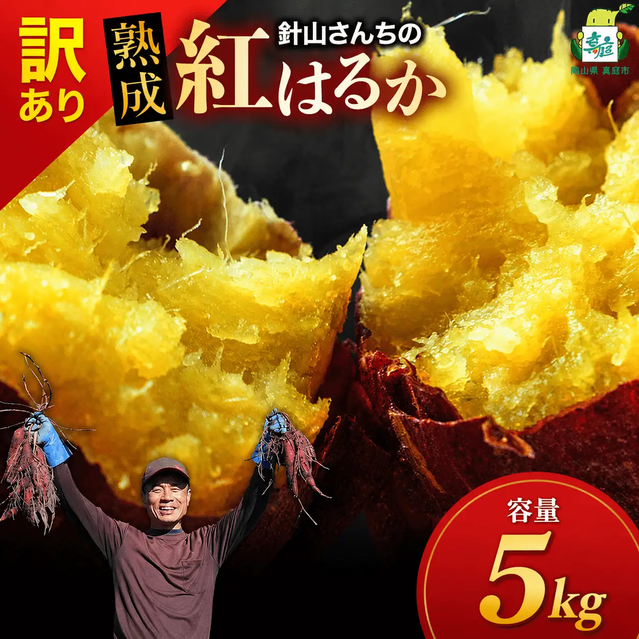 【訳あり】針山さんちのさつまいも 紅はるか 5kg / さつまいも 紅はるか 岡山県 野菜 【ybrf002-02】